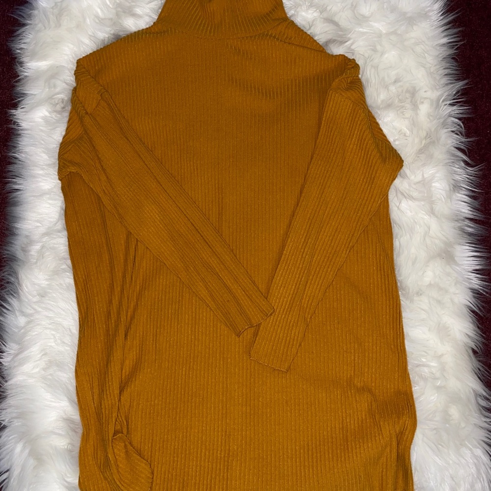 Ribbed turtleneck dress